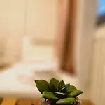 Casa Flamingo 3* Craiova