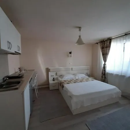 Casa Flamingo Гостевой дом Крайова