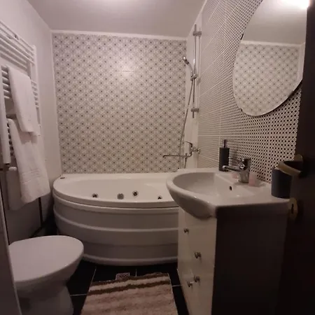 Гостевой дом Casa Flamingo Крайова