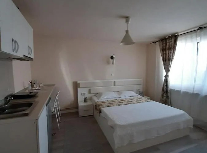 Casa Flamingo Maison d'hôtes Craiova