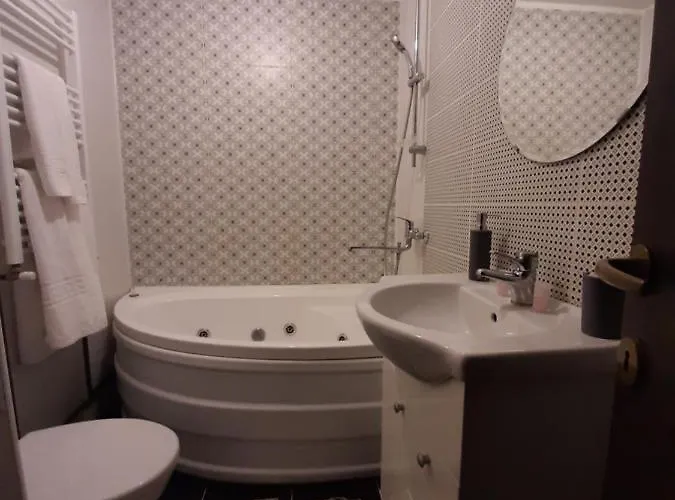 Maison d'hôtes Casa Flamingo Craiova