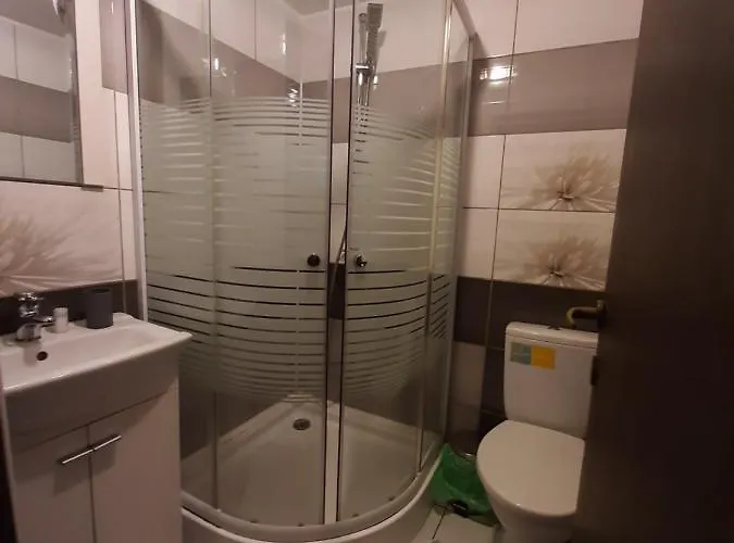 Casa Flamingo 3* Craiova