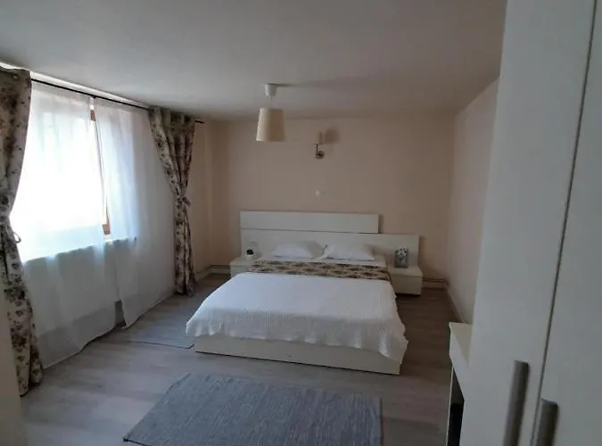 Casa Flamingo 3* Craiova