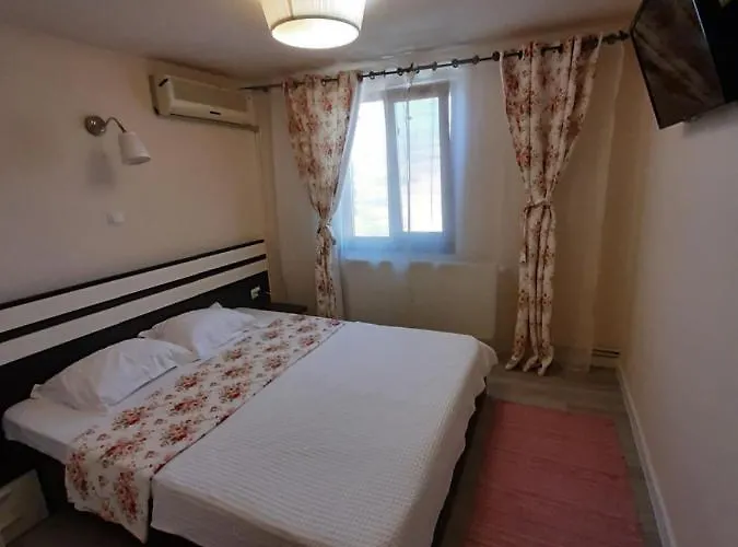 Casa Flamingo Maison d'hôtes Craiova