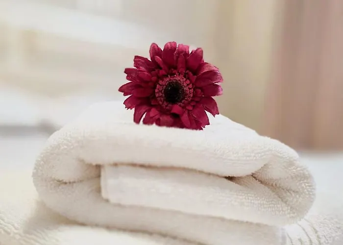 Pensiune Casa Flamingo