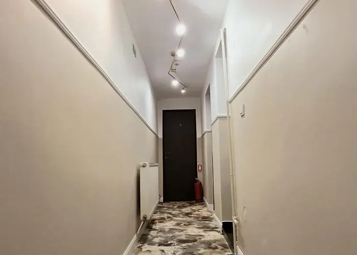 Pensiune Casa Flamingo 3*