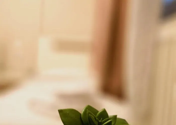 Casa Flamingo 3* Craiova