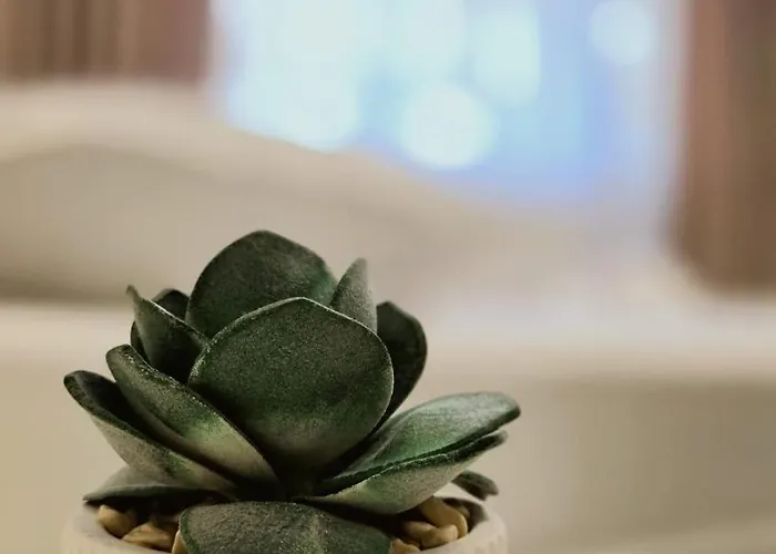 Pensiune Casa Flamingo 3*